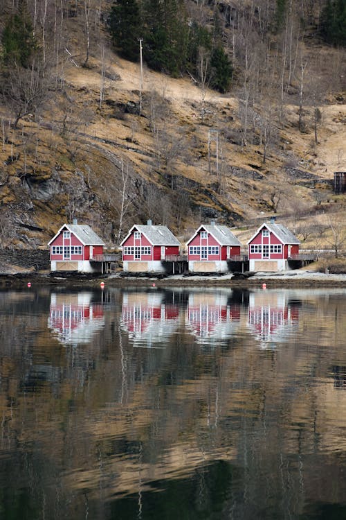 Free Four Cabins Built near the Lake Stock Photo