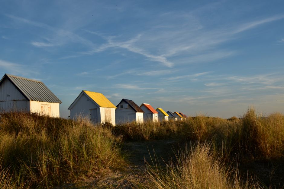 A row of vibrant beach cottages among tall grasses under a clear blue sky, perfect for a peaceful getaway.