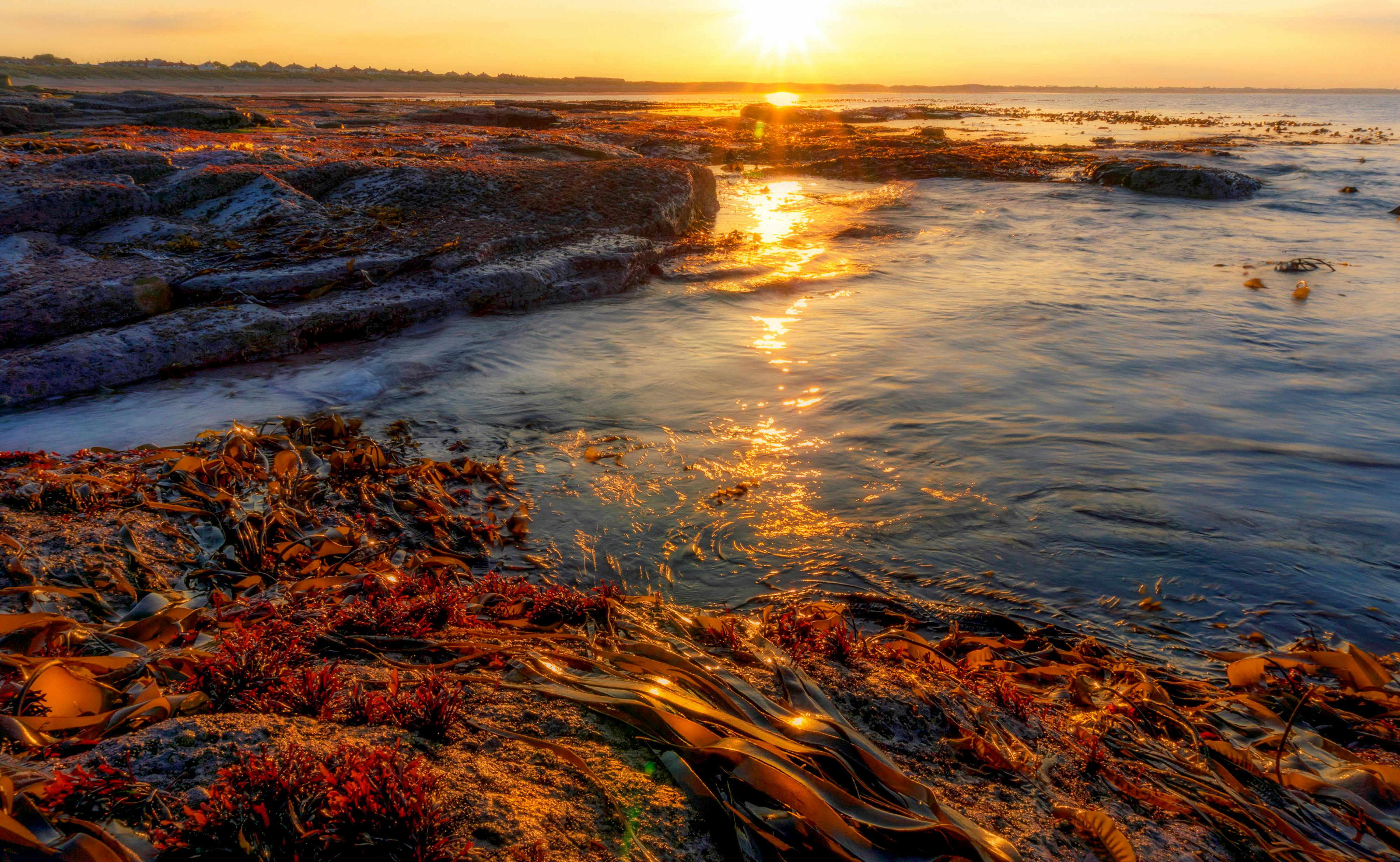 New Jersey Department of Environmental Protection | Sea Level Rise — Photo by Ray Bilcliff on Pexels