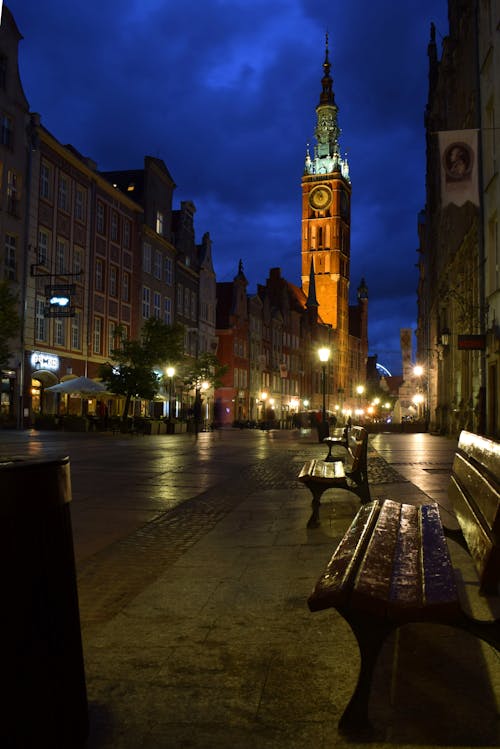 Free stock photo of bench, city, lights