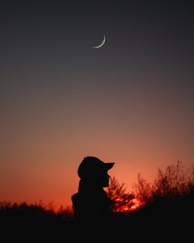 日落时分，一个人的剪影映衬着夜空中的一弯新月