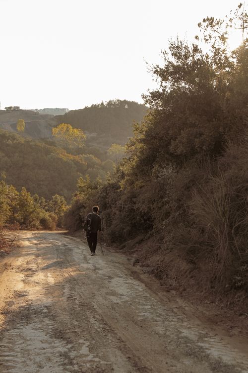 Free A lone person walks along a peaceful dirt road surrounded by lush greenery. Stock Photo