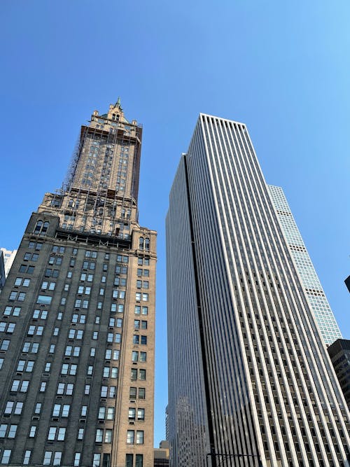 Low Angle View of Skyscrapers 