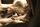 fennec fox