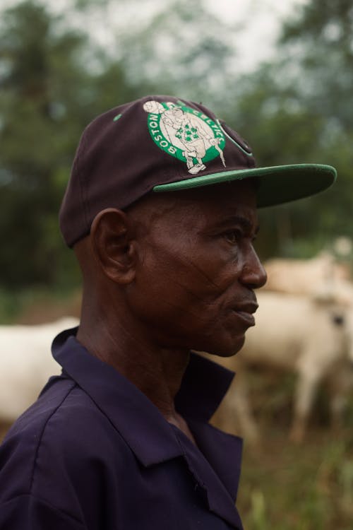 Ingyenes stockfotó afrikai férfi, álló kép, arc témában