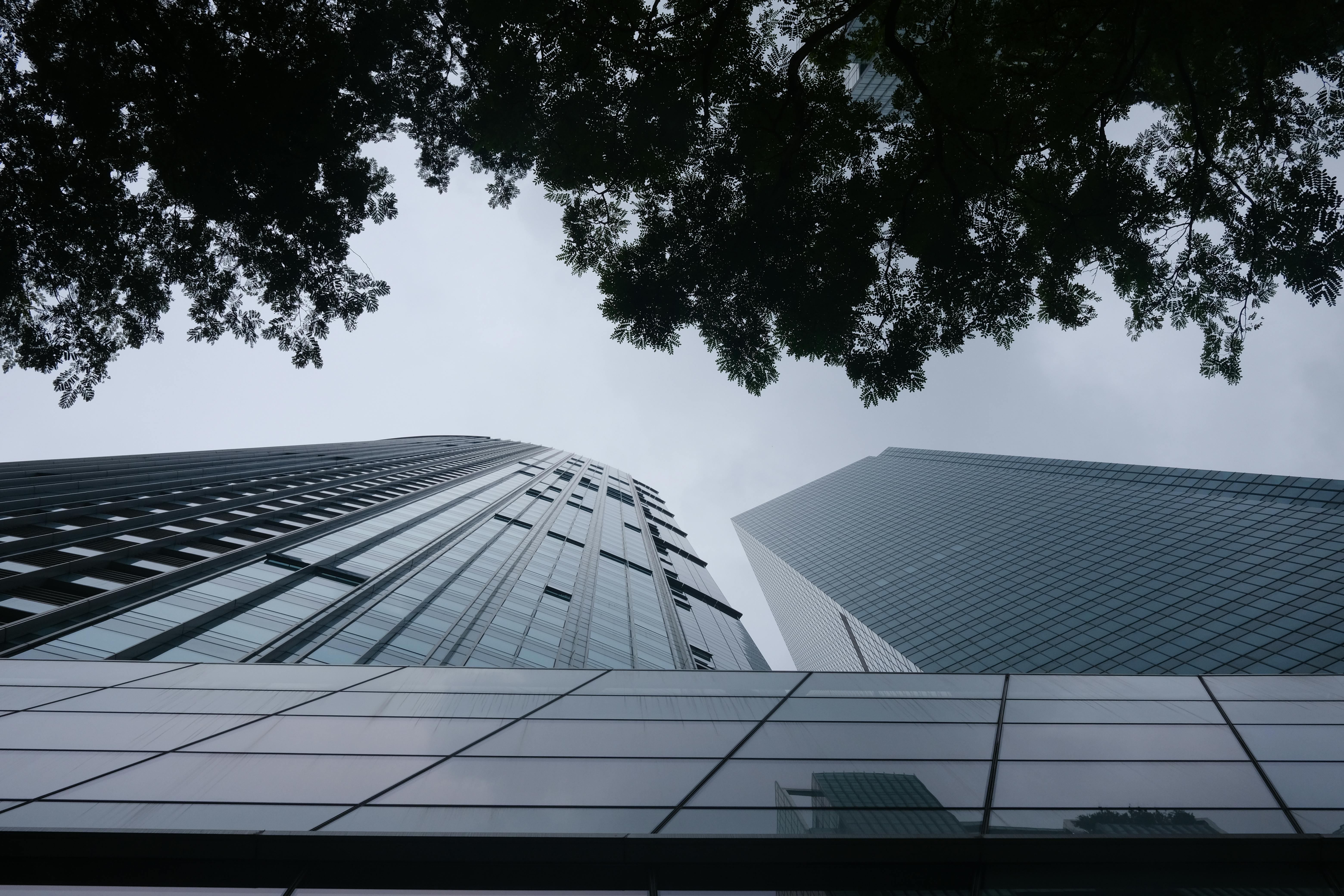 corporate governance esg esg governance examples — Photo by Dream Colours on Pexels