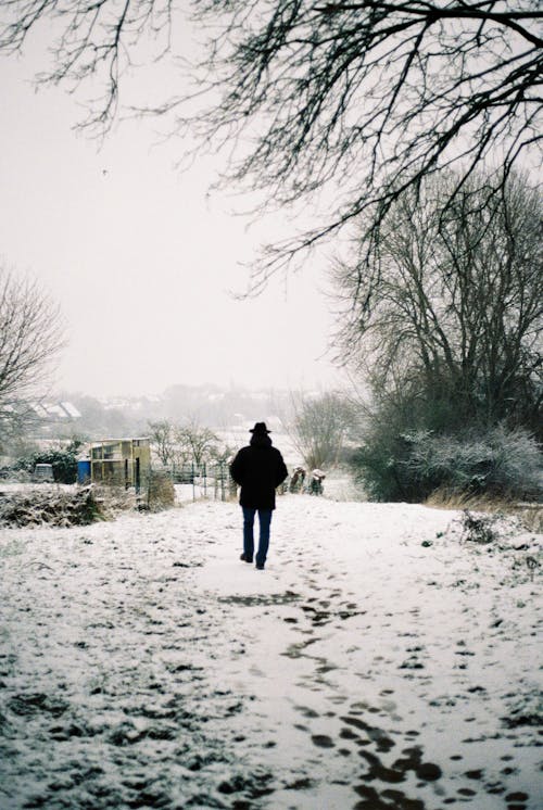 Бесплатное стоковое фото с вертикальный выстрел, вид сзади, зима