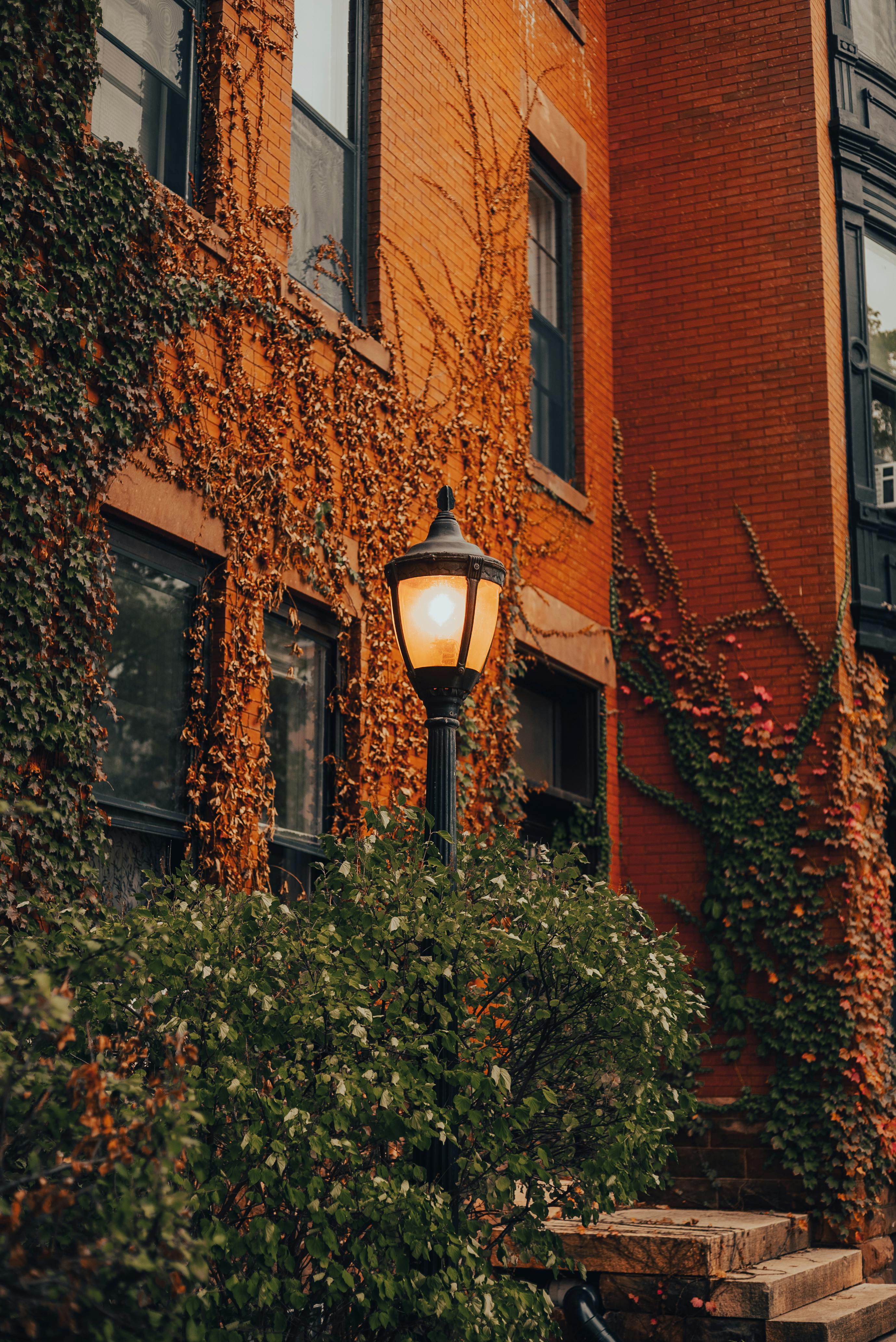 Scary Balcony Photos, Download The BEST Free Scary Balcony Stock Photos ...