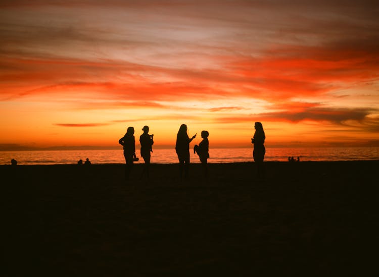 Silhouette Of People In A Beach