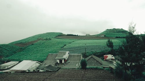 Fotobanka s bezplatnými fotkami na tému farma, hmla, hracie pole