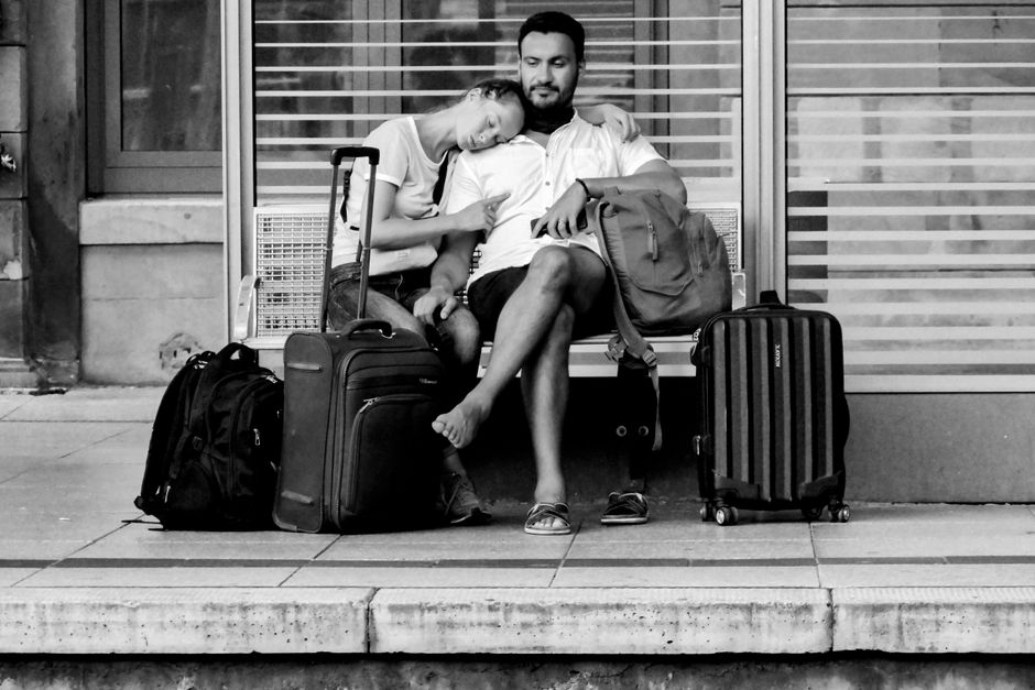 Relaxed companion for travel and overnight in Lethbridge