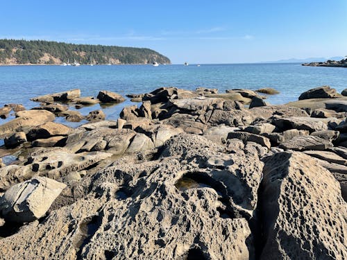 Gratis stockfoto met baai, h2o, kliffen