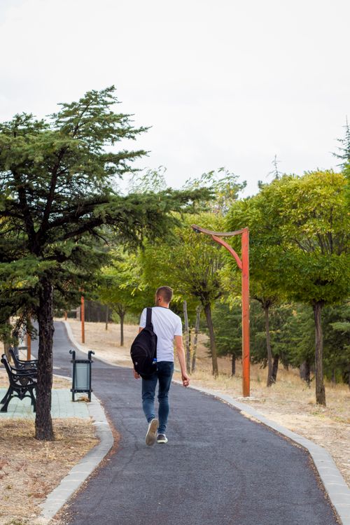 Free A man walks down a tree-lined path in a park, wearing a backpack. Stock Photo