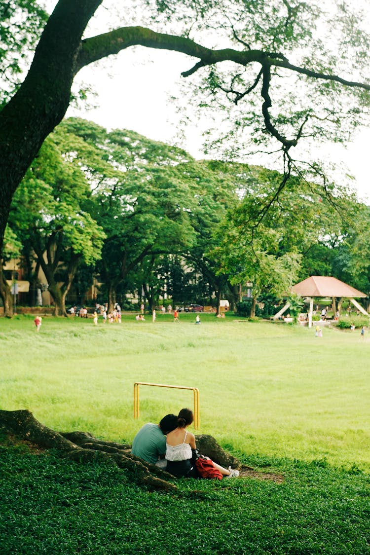 Couple Cuddle In Park Under Tree