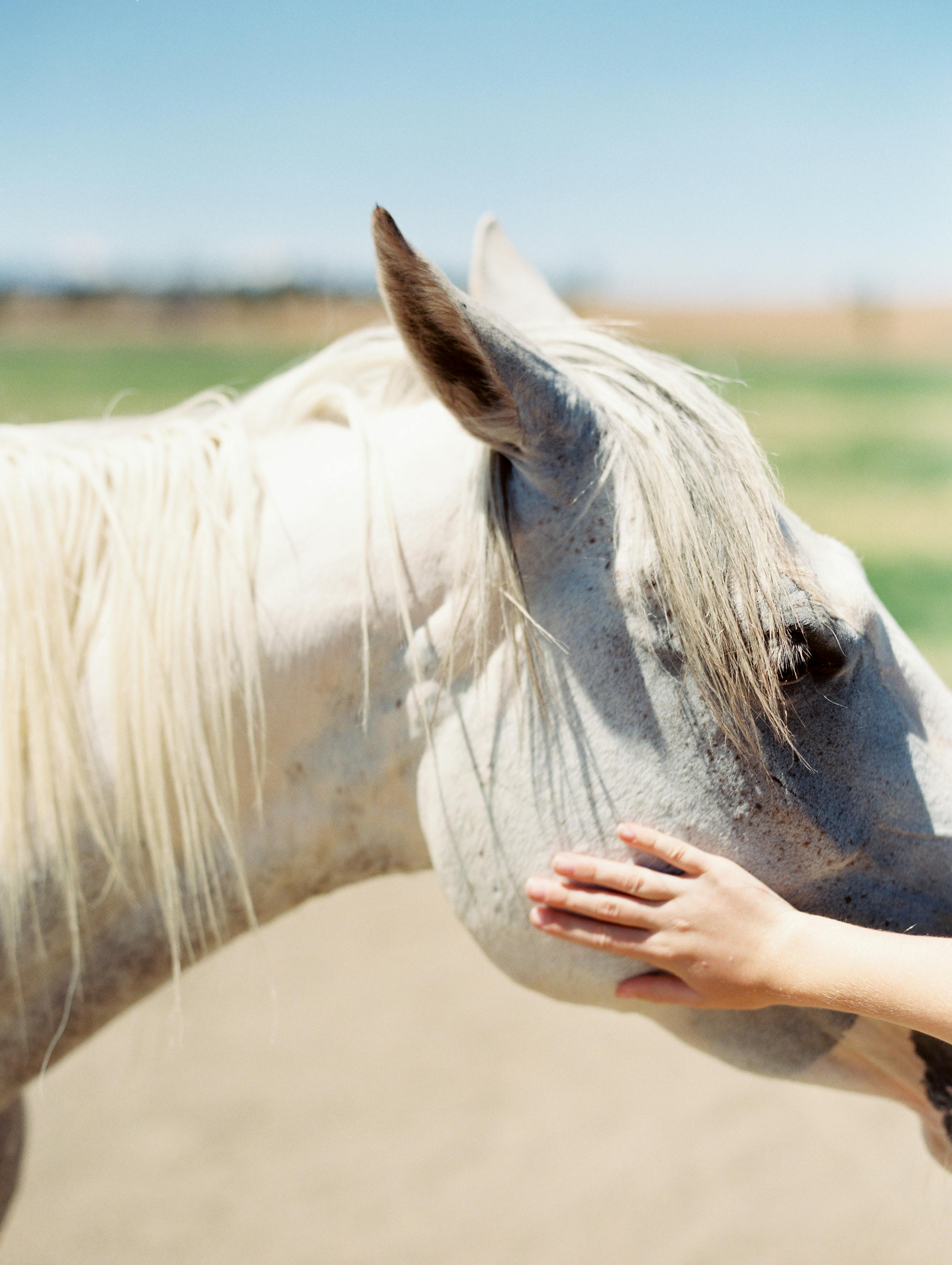 Model Hooker in Bend