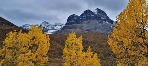 Gratis lagerfoto af autumnalis, mountainbiker, natureworld