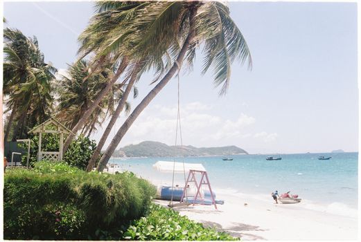 Peaceful tropical beach with palm trees, clear blue water, and kayaks ready for adventure.