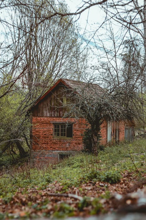 ağaçlar, ahır, ahşap içeren Ücretsiz stok fotoğraf