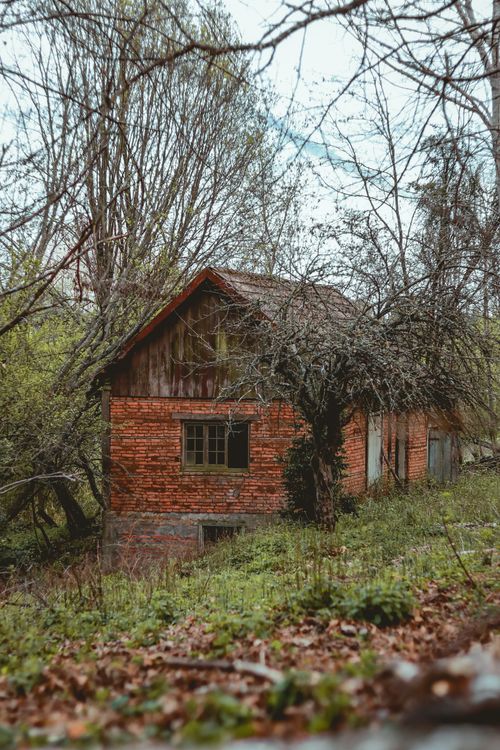 Free A rustic brick barn nestled in a lush forest near Los Ángeles, Chile during fall. Stock Photo