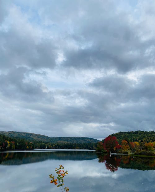 Autumn Trees on the Sides of a River 