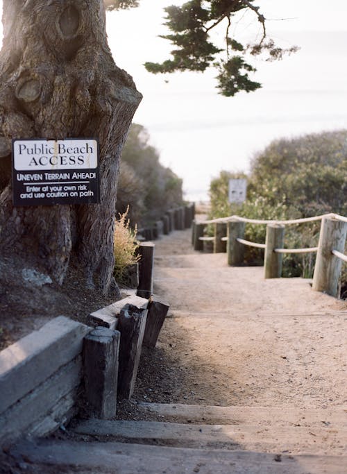 Imagine de stoc gratuită din cale, coasta californiei, fotografiere verticală