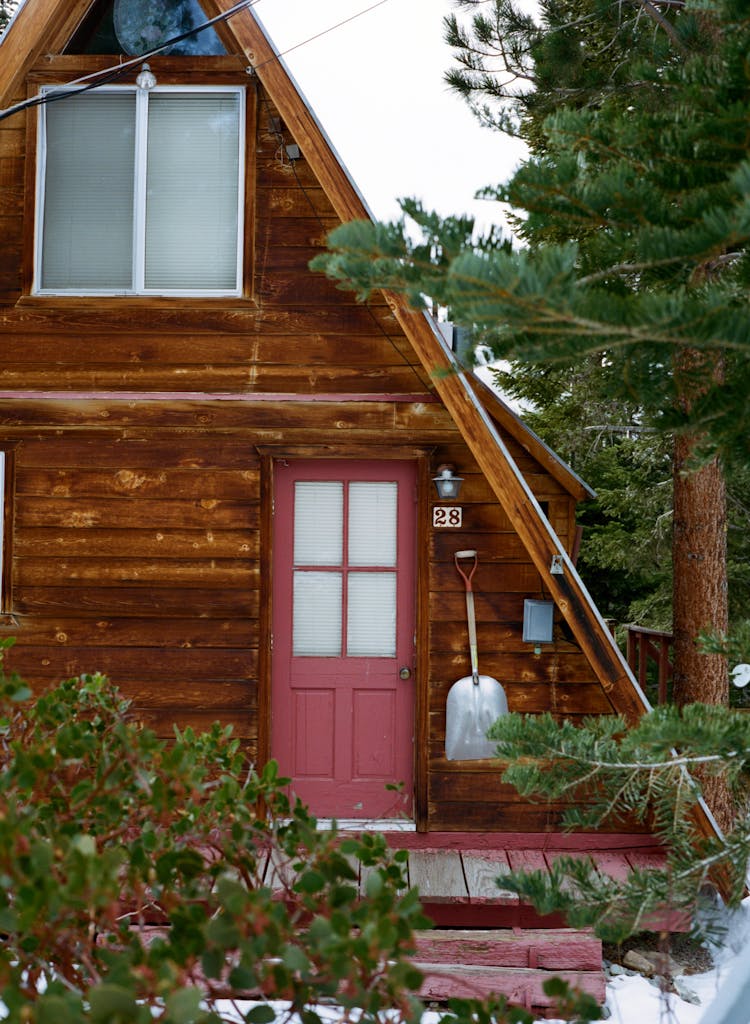 Wooden Cabin Beside A Pine Tree