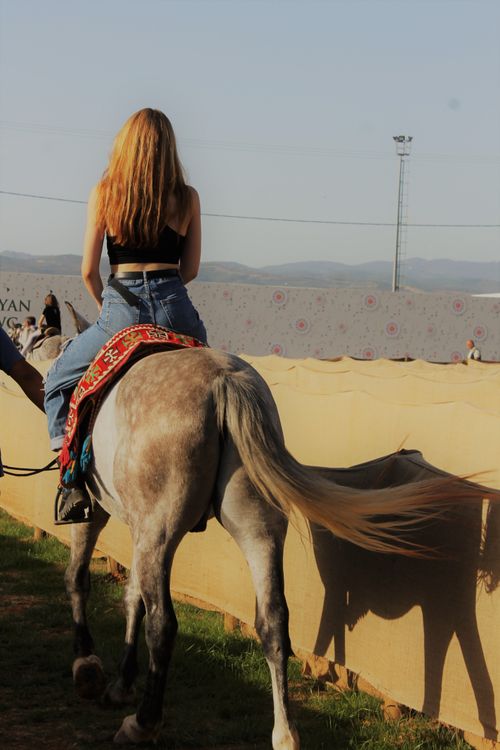 Black Women Riding Horse Photos, Download The BEST Free Black Women ...