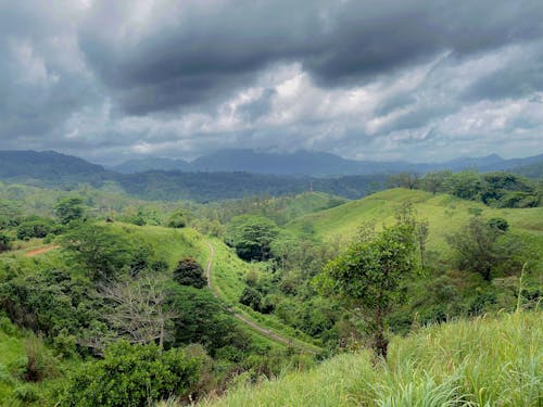 Green Path