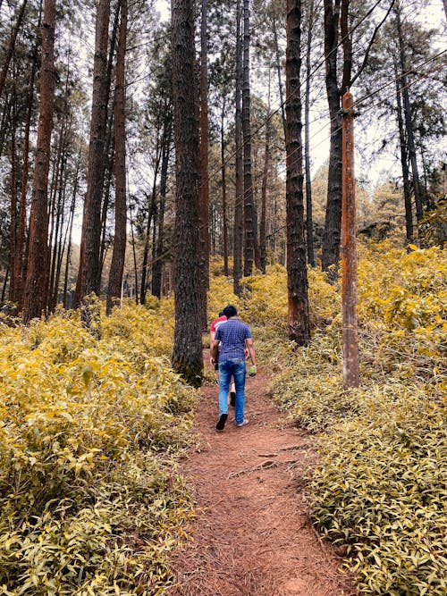 Foto profissional grátis de amarelo, andando, estrada única