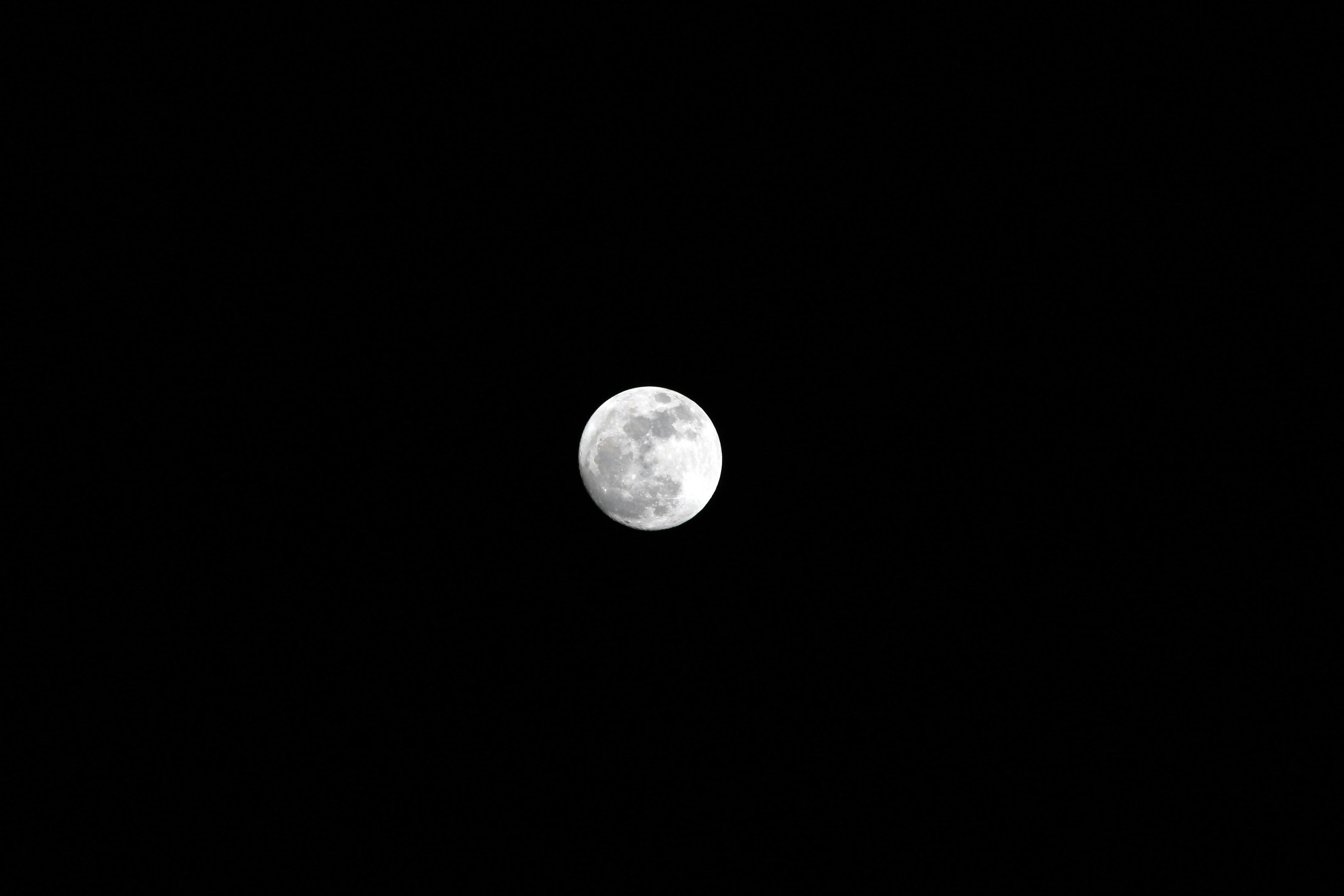 Free stock photo of #moon #night #dark #black #white #nature #beauty