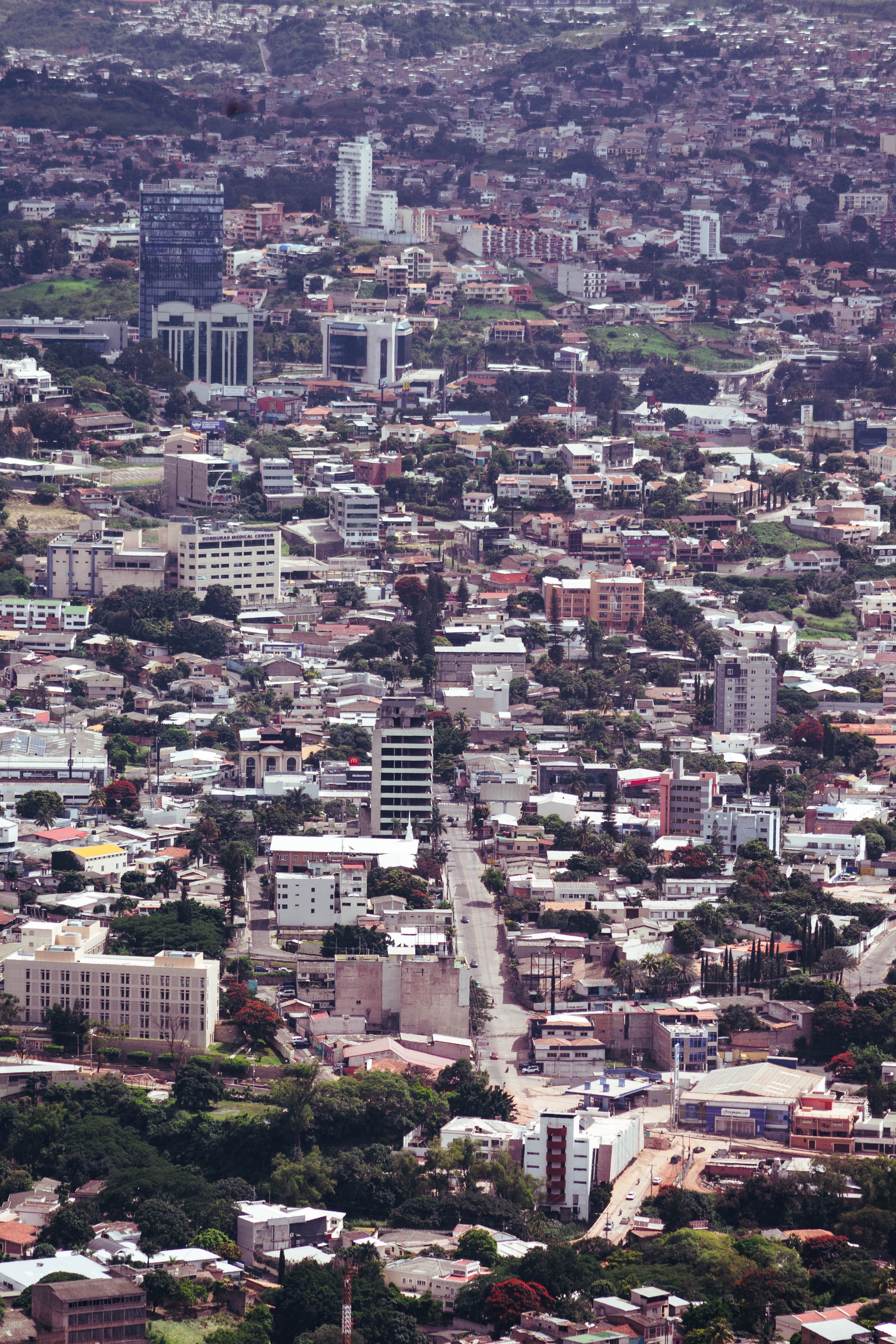 Nuevas oportunidades de empleo en tecnología y negocios digitales en Tegucigalpa