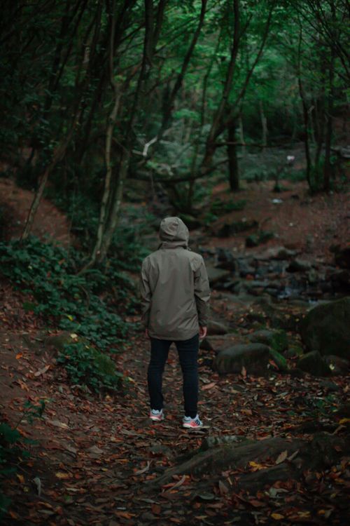 Free Back view of a person in a brown jacket walking along a serene forest path. Stock Photo