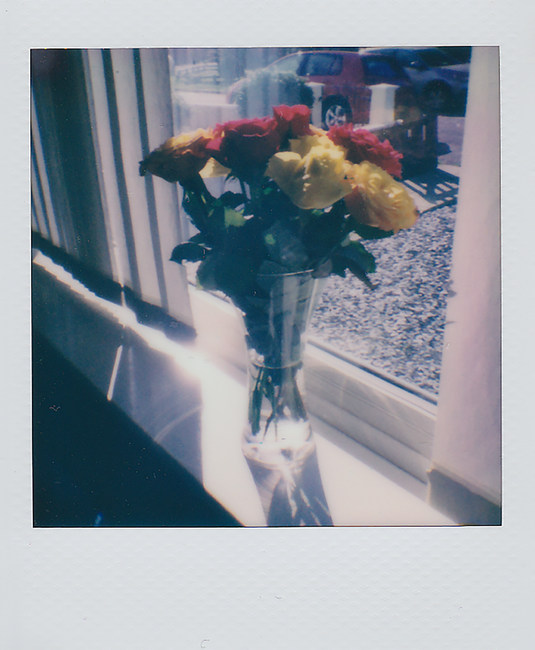 A colorful bouquet of roses in a vase on a windowsill, captured in retro Polaroid style.