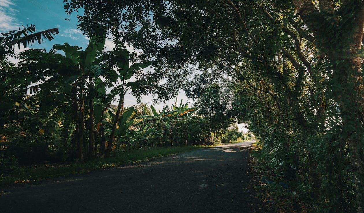 Fotografía De Pavimento De Carretera Vacía