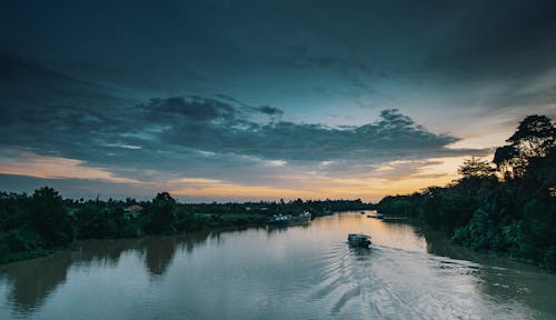 Boot Auf Dem See, Umgeben Von Grünen Bäumen Und Pflanzen