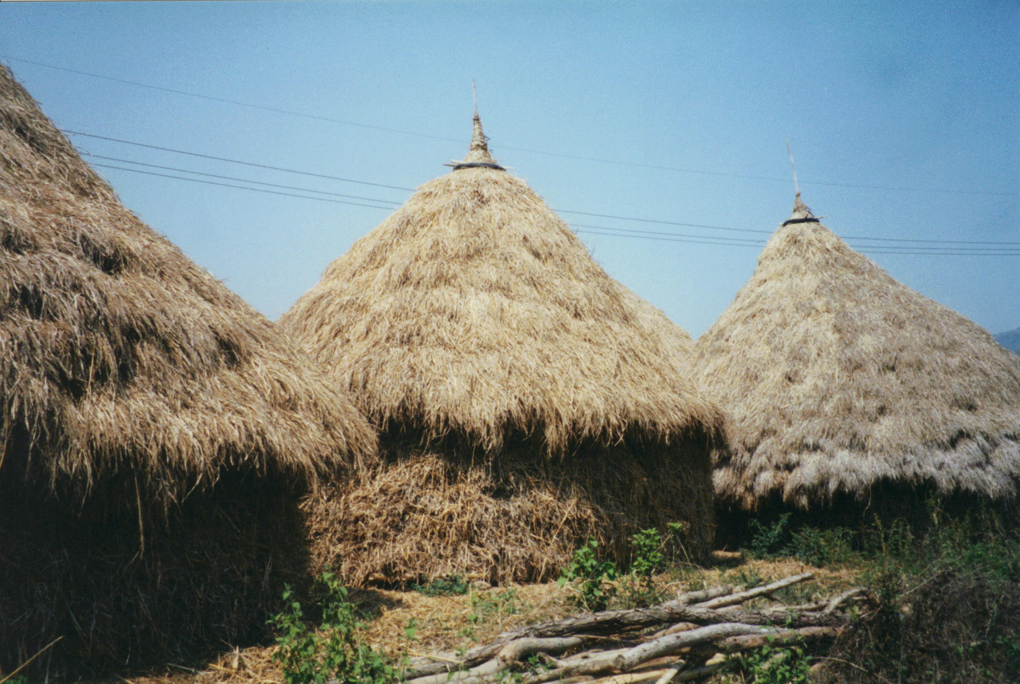 Grass Huts Photos, Download The BEST Free Grass Huts Stock Photos & HD ...