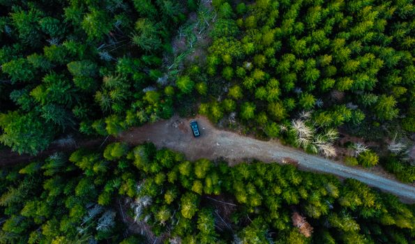 Aerial view of a car on a forest road in Mount Hood, Oregon, showcasing lush green trees.