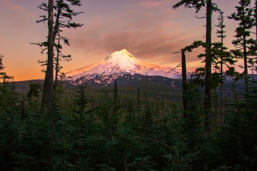 Free Breathtaking sunset over Mount Hood, Oregon with lush forest in foreground. Stock Photo
