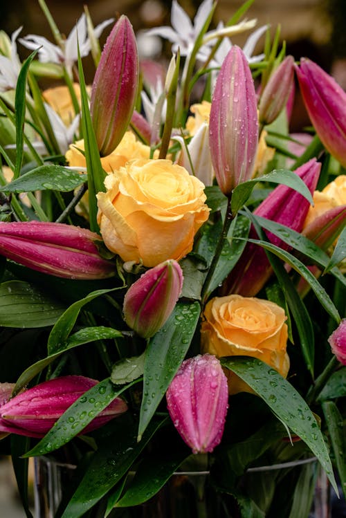 Foto d'estoc gratuïta de flors, fons, fons de pantalla