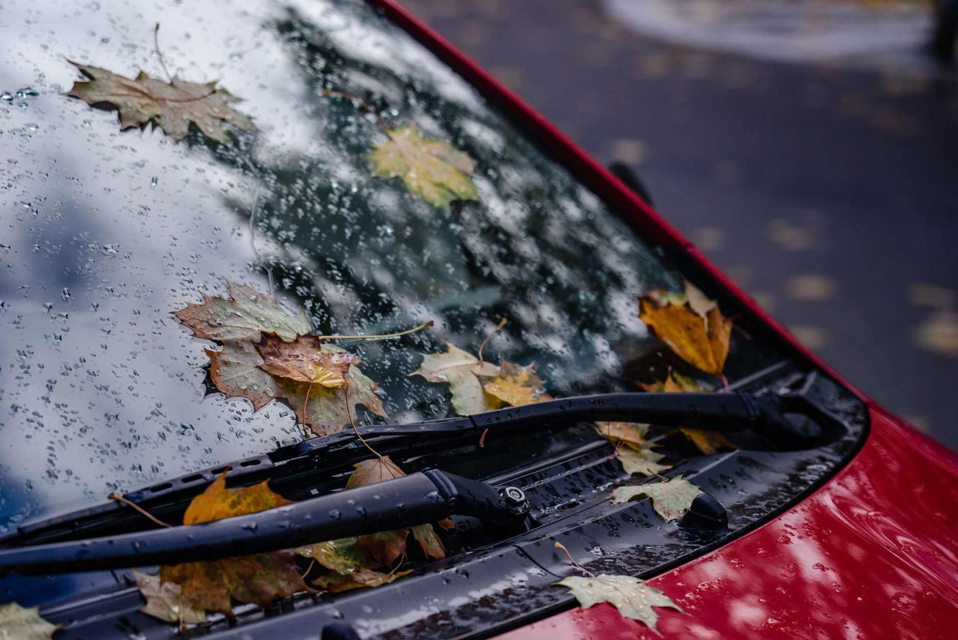 Best Windshield Wipers 2026: Beam Blades That Actually Work