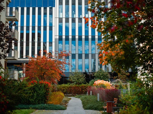 Modern Building Exterior and Autumn Trees in the Park 