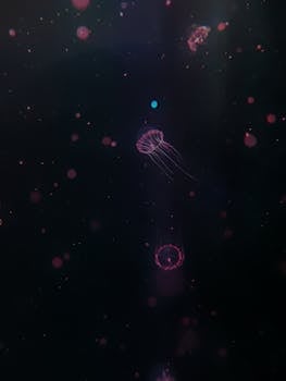 Captivating view of glowing jellyfish swimming in the dark ocean depths, highlighting their ethereal beauty.