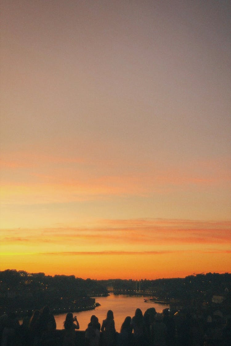 Silhouette Of Trees During Sunset