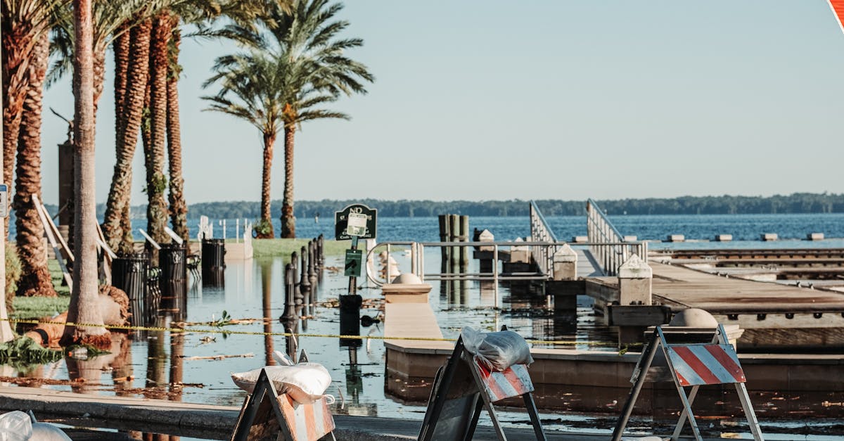 Photo by Connor Scott McManus Flooded tropical seashore with palm trees and warning signs under clear blue sky.