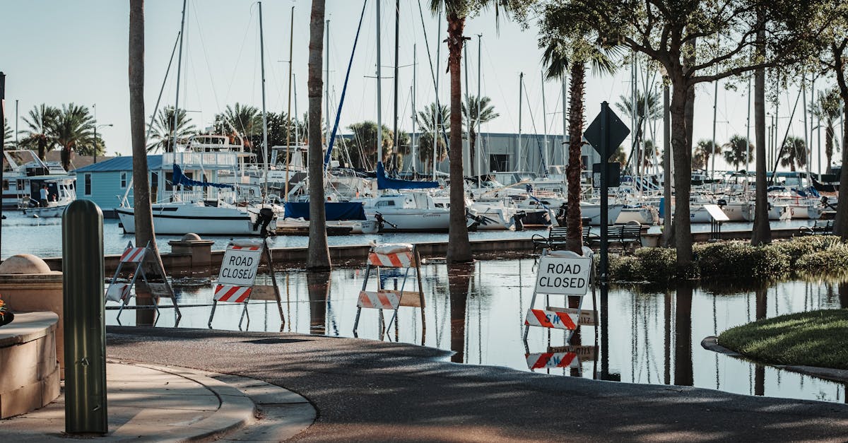 Photo by Connor Scott McManus A flooded street near a harbor with sailboats and 'road closed' signs during the day.