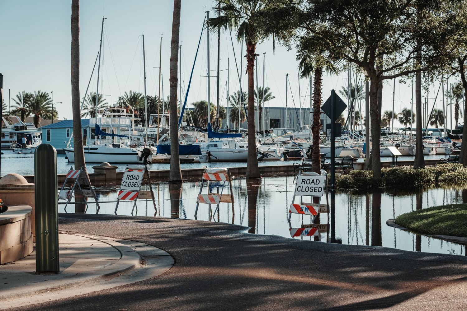 Safety Harbor Photos, Download The BEST Free Safety Harbor Stock Photos ...