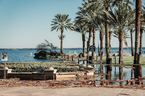 Fotobanka s bezplatnými fotkami na tému dedinský, Florida, kolaps