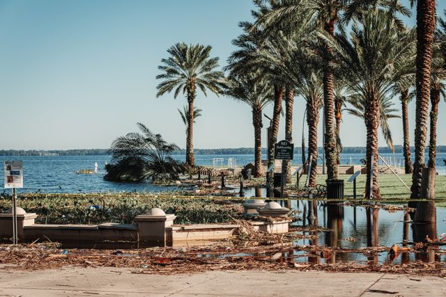 Photo by Connor Scott McManus on Pexels Photo by Connor Scott McManus on Pexels