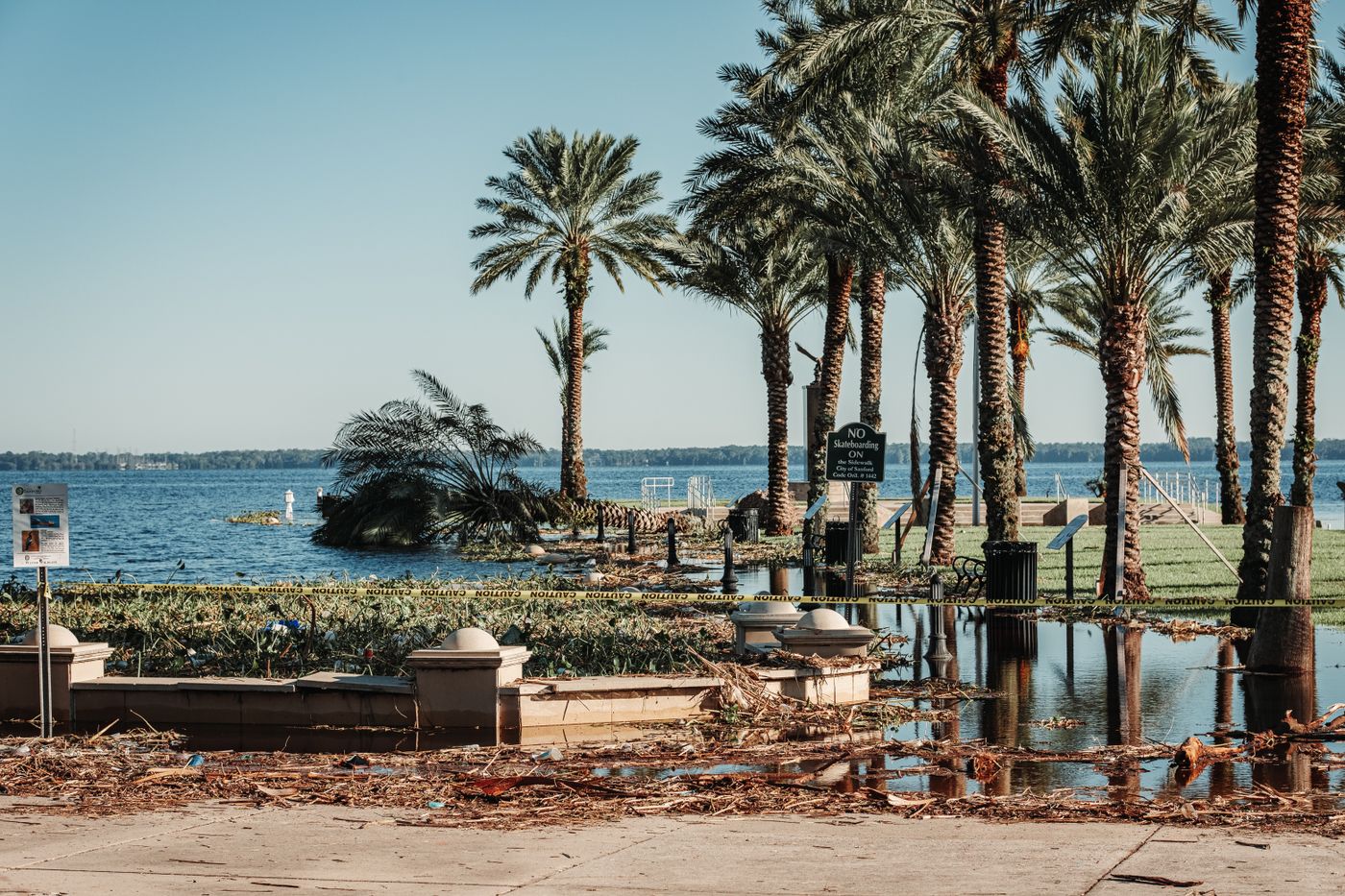 Palm trees and scattered debris after a tropical storm