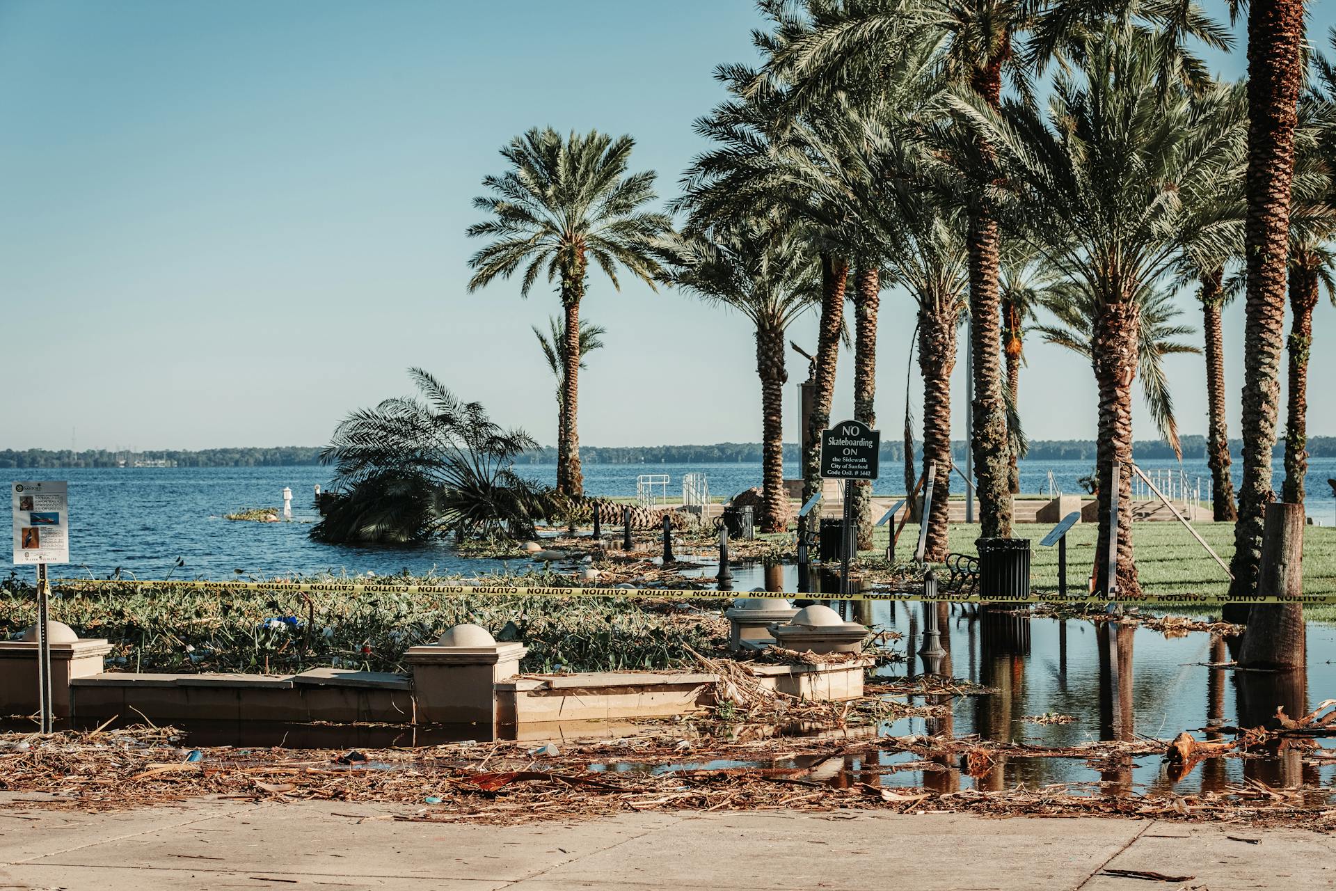 Flooded coastal area with palm trees and an occluded path post-storm damage in Florida.